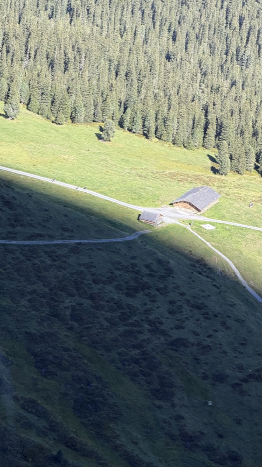 Looking straight down from a gondola at a steep green alpine meadow with a hiking path and two wooden farm buildings, dense pine forest above