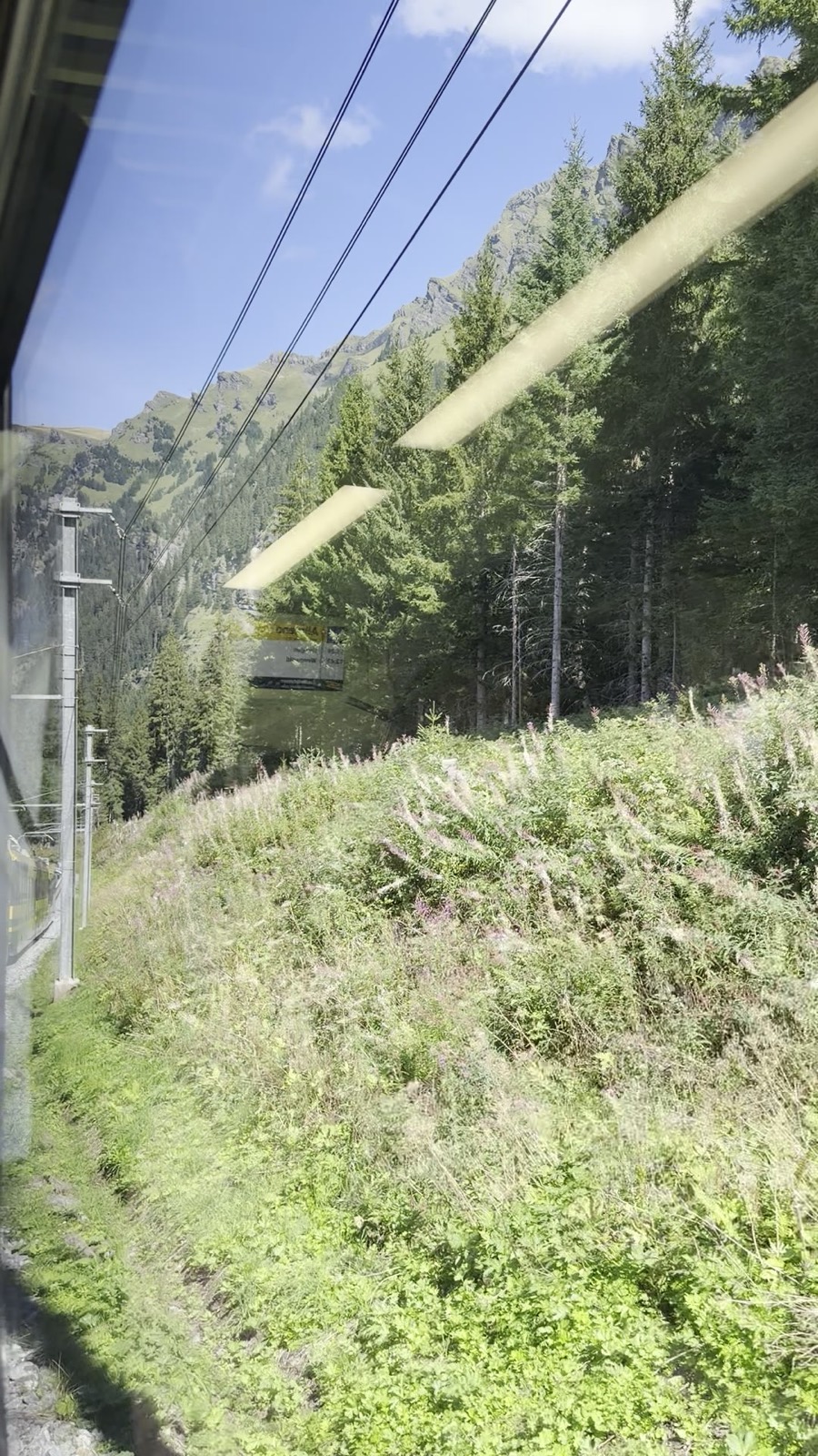 A yellow and grey cog train curving ahead through pine forest on a steep hillside, overhead wires and a rocky ridge above, seen from a carriage window