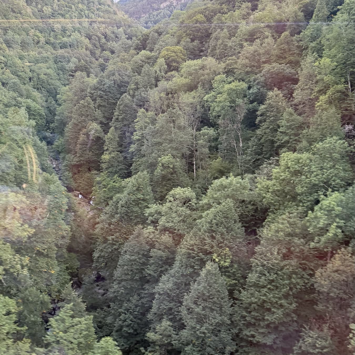 A wooded gorge falling away below the train window in fading evening light