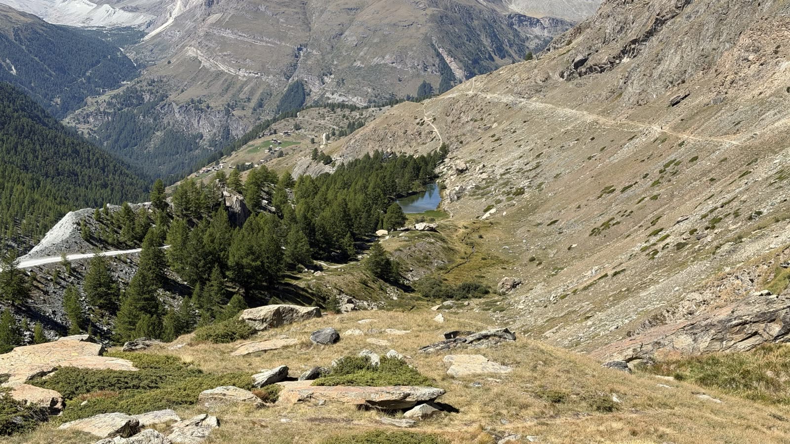 A small dark lake among larch trees on a rocky hillside