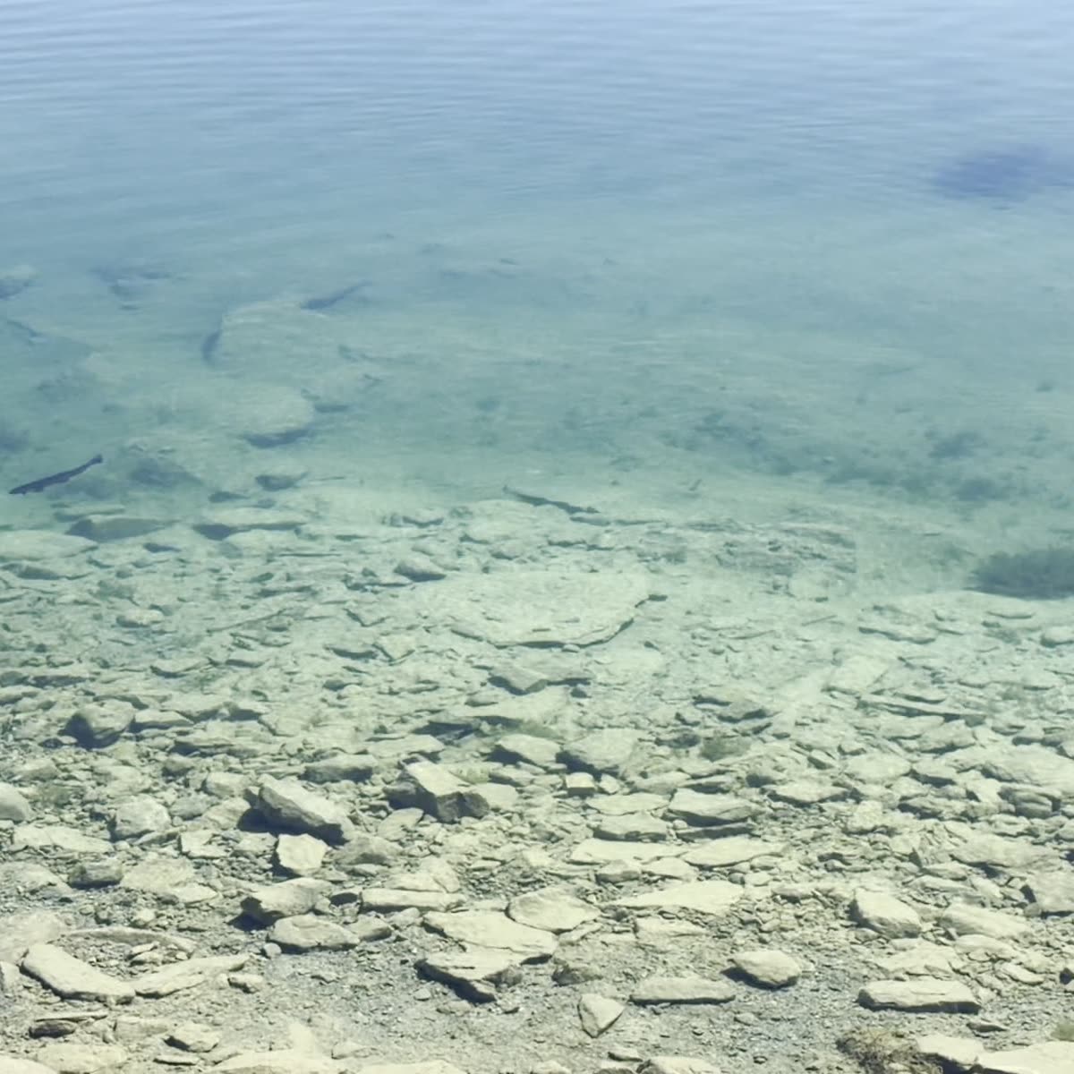 Clear shallow water over pale stones at the edge of a mountain lake