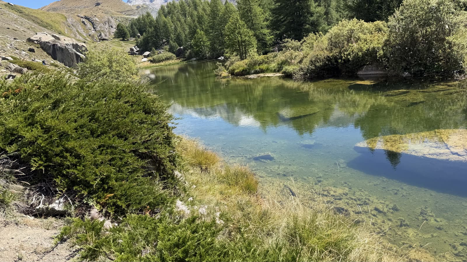 A small green lake ringed by larch trees and grass under a wooded slope