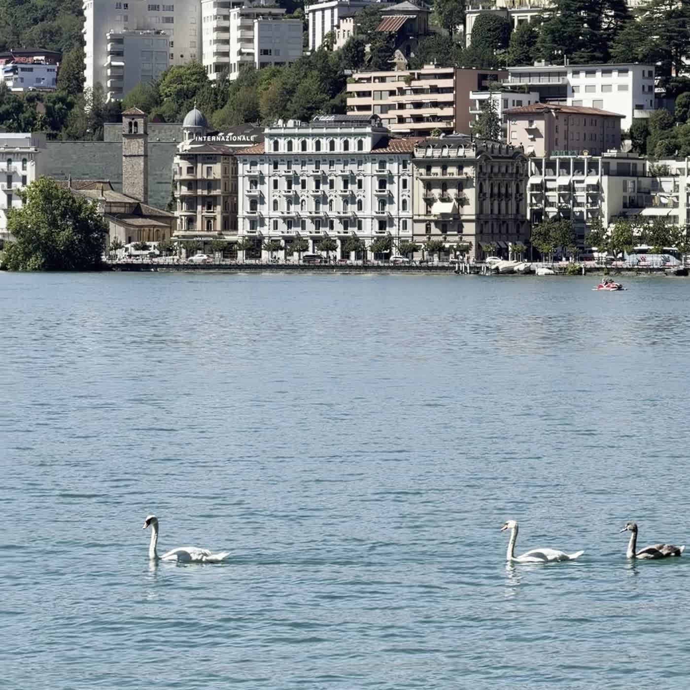 Lake Lugano from the shore, a town on the far bank under a green mountain