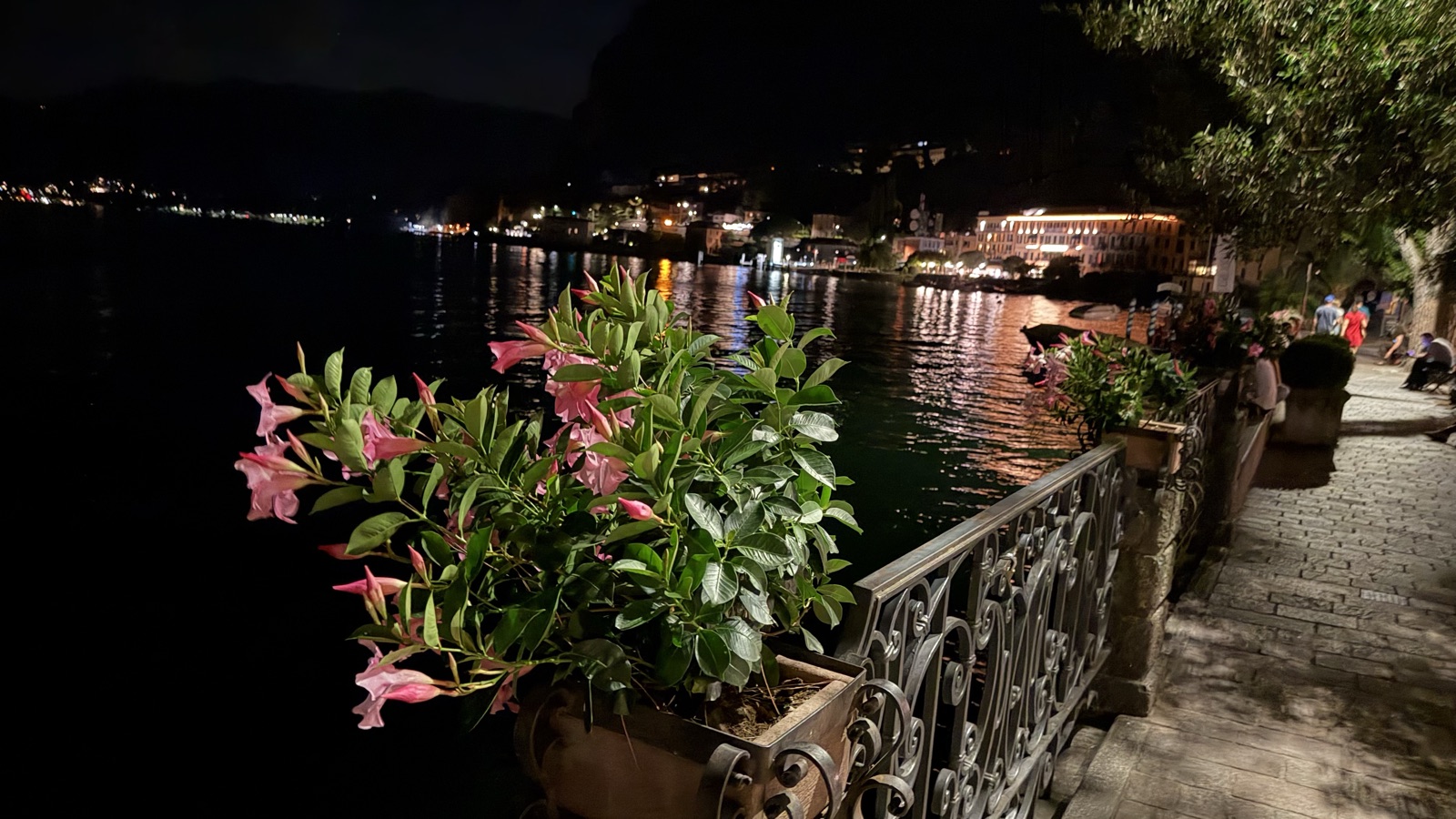 Pink flowers on a terrace railing at night with the lights of the far shore reflected on the lake