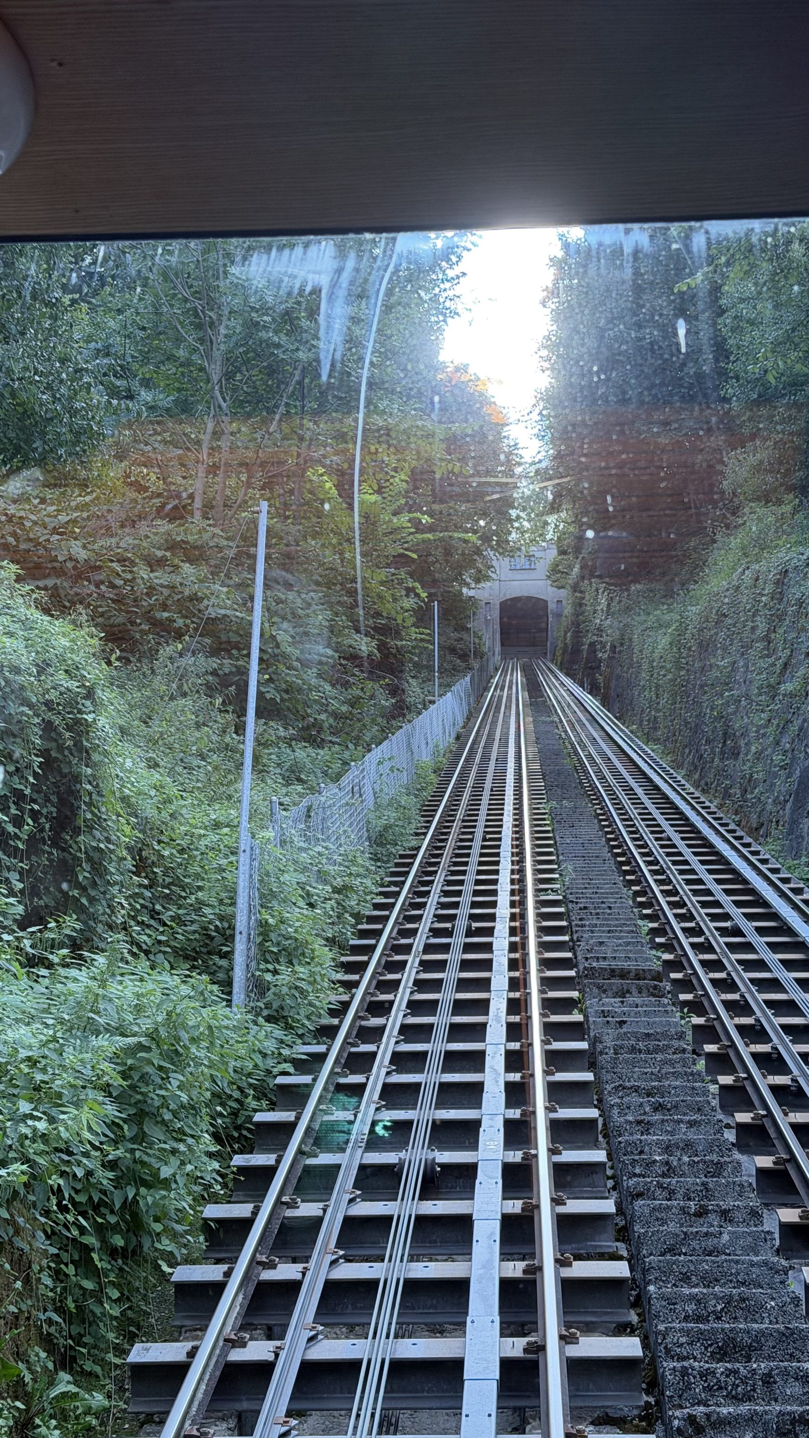 Looking up the track of the Gütschbahn funicular through the trees, the rails rising steeply towards the top station
