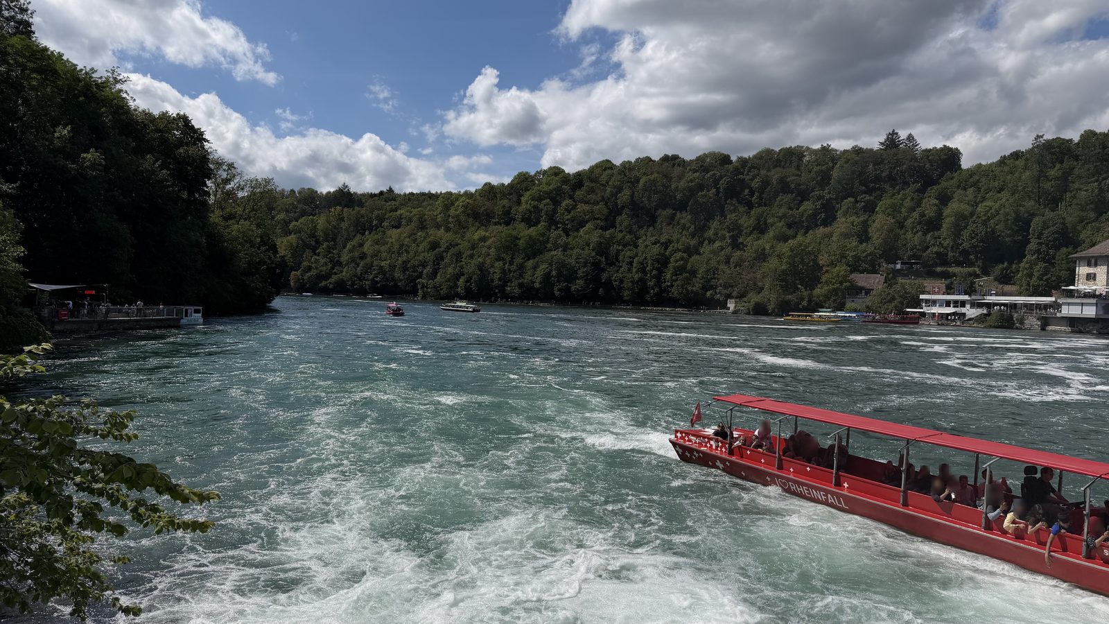 A red tour boat heading into the white water below the Rhine Falls, with the river and wooded banks behind it