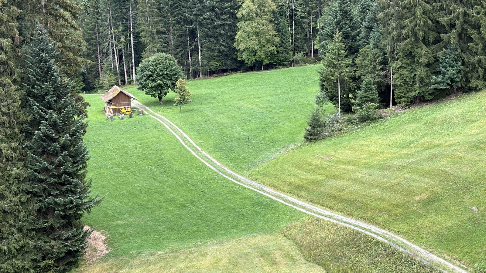 A mown path across a green meadow to a wooden hut, with the forest edge on both sides, seen from the gondola down from Pilatus
